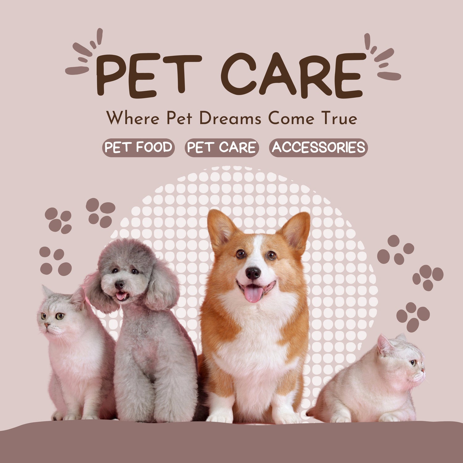 Pet Accessories